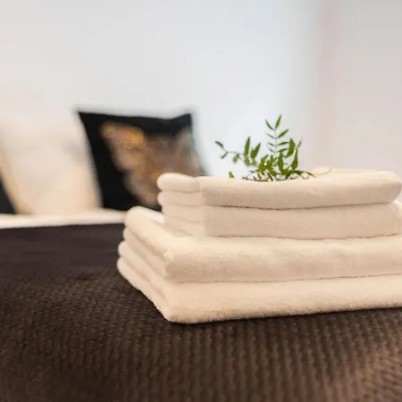 Apartment Stylish 3city With Parking In By Renters *